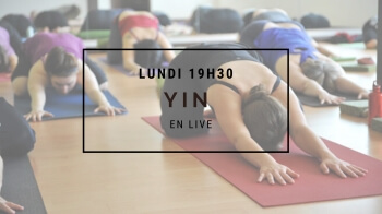 YIN-YOGA-EN-LIGNE-ZOOM