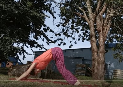 Hatha Yoga en plein air – Cours Complet